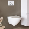 TOILET WALL HUNG DROPPE SET WHITE BUTTON