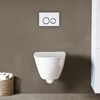 TOILET WALL HUNG DROPPE SET WHITE BUTTON