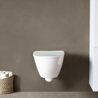 Toilet Wall Hung Droppe With Seat