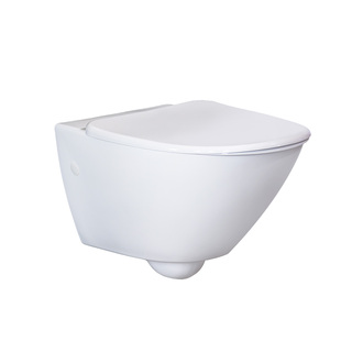 Toilet Wall Hung Droppe With Seat