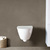 Toilet Wall Hung Droppe With Seat
