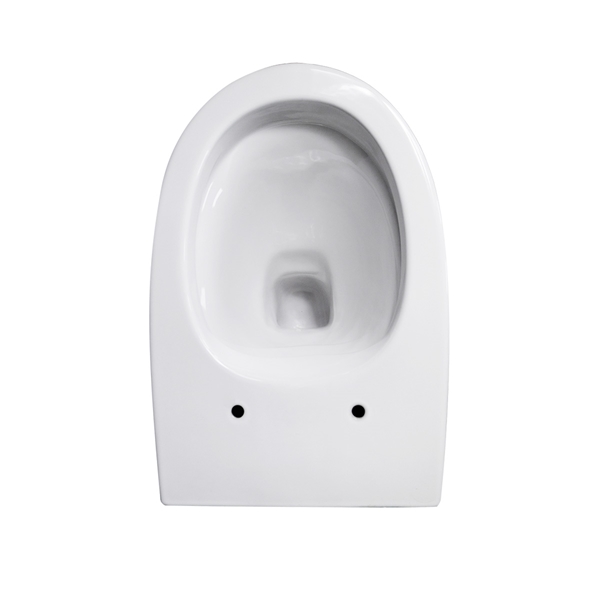 TOILET WALL HUNG DROPPE WITH SEAT